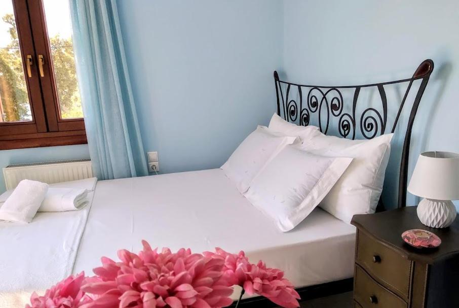 Apartamento Pelion Seaside Luxury House Áfissos Exterior foto