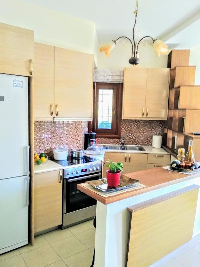 Apartamento Pelion Seaside Luxury House Áfissos Exterior foto