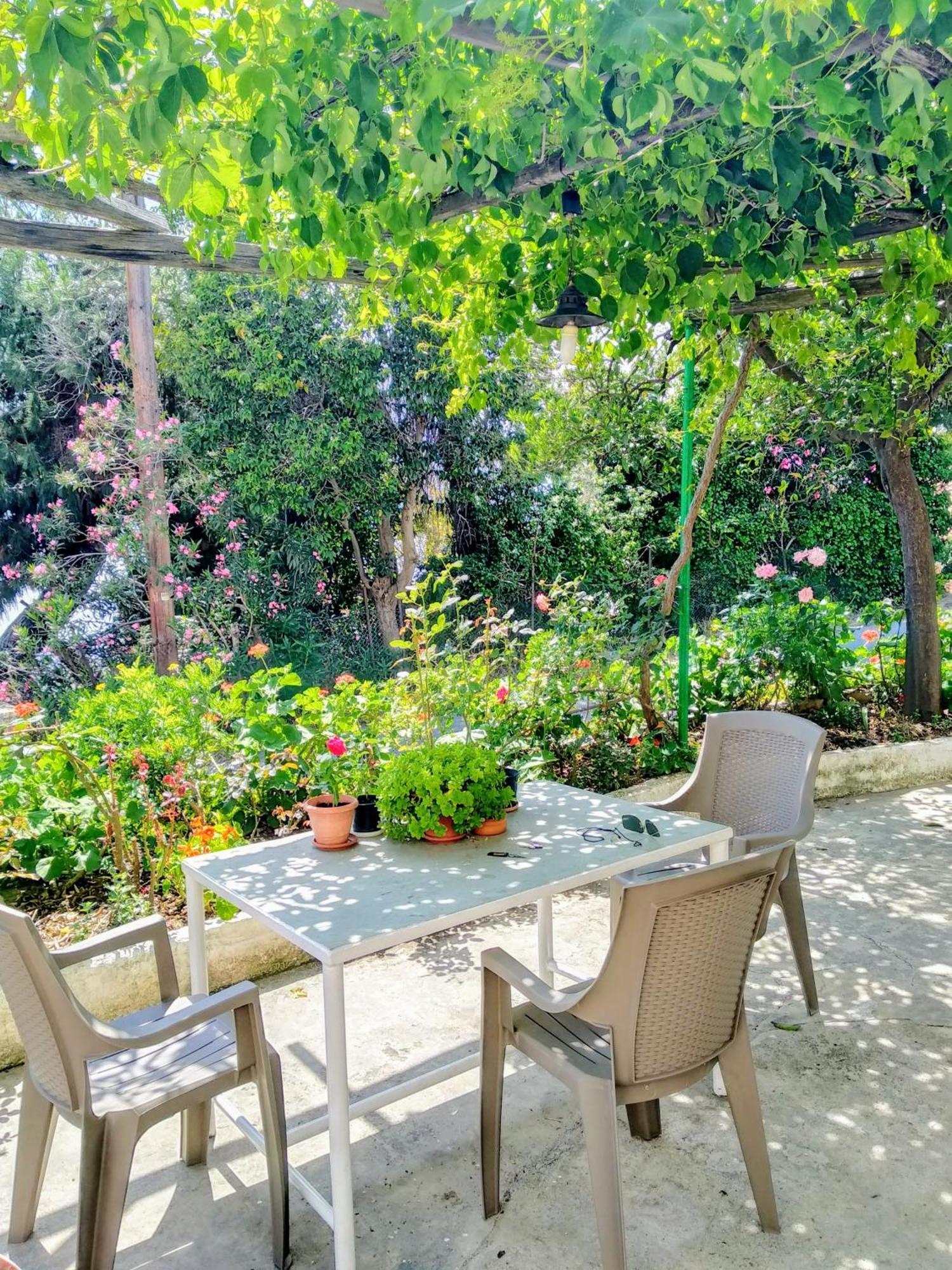 Apartamento Pelion Seaside Luxury House Áfissos Exterior foto